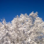 snow caps - photo by: ryan sterritt