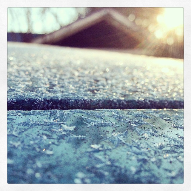 icy morning - photo by: ryan sterritt