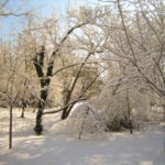 snow field - photo by: ryan sterritt
