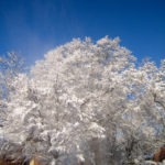 snow blowing - photo by: ryan sterritt