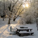 sunrise parkbench - photo by: ryan sterritt