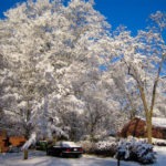snowy neighbors - photo by: ryan sterritt