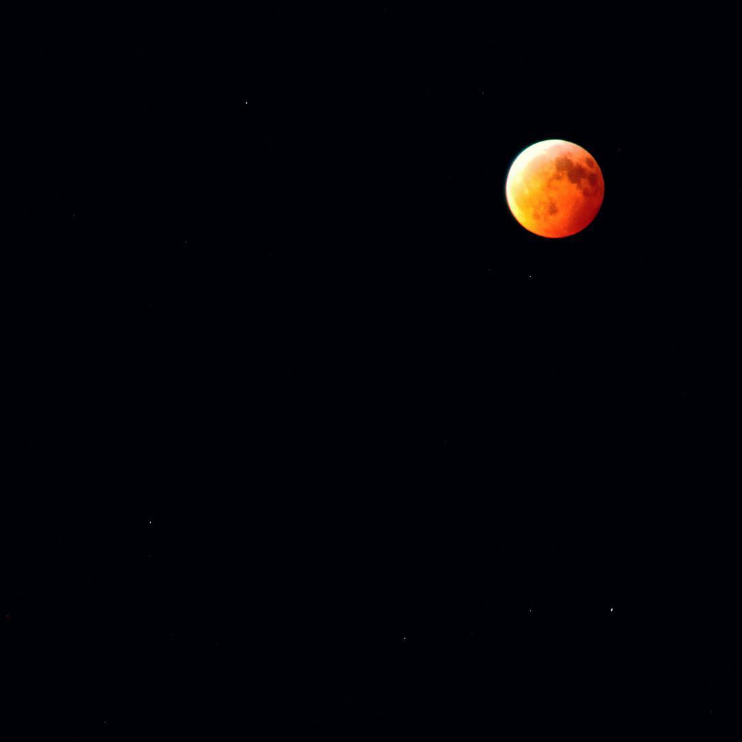 The view from our driveway! #LunarEclipse2019 #SuperWolfBloodMoon #SuperWolfBloodMoonEclipse