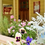 flower box - photo by: miguel martinez