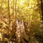 stairs to climb - photo by: ryan sterritt