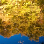 reflection pond - photo by: ryan sterritt