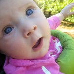 apple picking - photo by: ryan sterritt