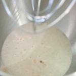 pitch the yeast - photo by: ryan sterritt