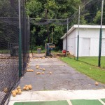 batting cage - photo by: ryan sterritt