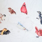 birds - by: ryan sterritt