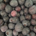 local blueberries from market - photo by: ryan sterritt