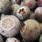 blueberries from market close - photo by: ryan sterritt