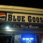 blue goose at night - photo by: ryan sterritt