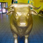 golden bull - photo by: angela nichols