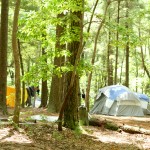 tents - photo by: ryan sterritt