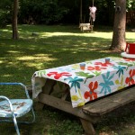 my first birthday party - photo by: ryan sterritt