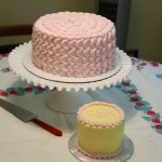 my birthday cakes - photo by: ryan sterritt