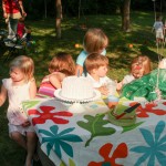 my first birthday party - photo by: ryan sterritt