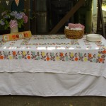 my first birthday party - photo by: ryan sterritt