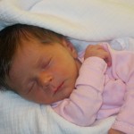 sweet dreams - photo by: william sterritt
