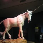 unicorn - photo by: ryan sterritt
