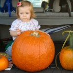it's the great pumpkin - photo by: ryan sterritt