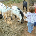 clem vs the goats - photo by: ryan sterritt