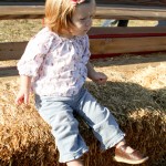 clementine on the hayride - photo by: ryan sterritt