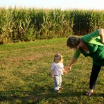 corn fields - photo by: ryan sterritt