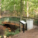 deepdene bridge - photo by: ryan sterritt