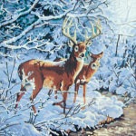 deer and stream - by: ryan sterritt