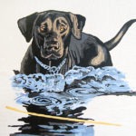 dog in water - by: ryan sterritt