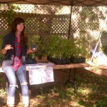 tomato workshop - photo by: ryan sterritt