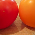 colorful tomatoes - photo by: ryan sterritt