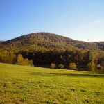 mountain backdrop fall 2011 - photo by: ryan sterritt
