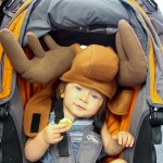 moose clementine - photo by: ryan sterritt