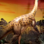 dinosaur - photo by: ryan sterritt