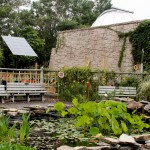 lily pond - photo by: ryan sterritt