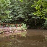 pond on walk - photo by: ryan sterritt