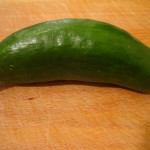 first cucumber - photo by: ryan sterritt