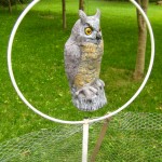owl - photo by: angela nichols