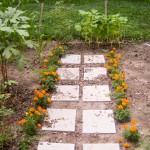 marigold walkway - photo by: ryan sterritt