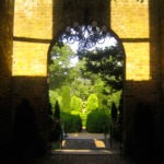 garden from inside - photo by: ryan sterritt