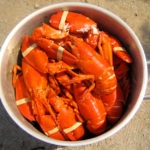 pot of cooked lobsters - photo by: ryan sterritt