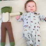 grey & luigi the frog - photo by: ryan sterritt