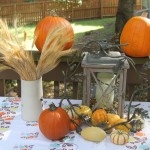 fall decor - photo by: ryan sterritt