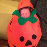 1 day old pumpkin - photo by: ryan sterritt