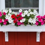 window box - photo by: ryan sterritt