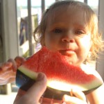 watermelon in my kiddie pool - photo by: ryan sterritt