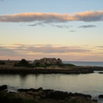 bush compound - photo by: ryan sterritt